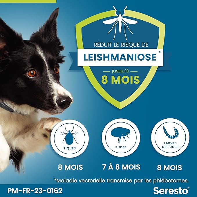Collier Seresto Anti-puces Pour Chien Maroc