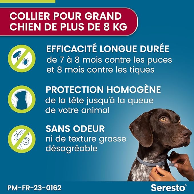 Collier Seresto Anti-puces Pour Chien Maroc