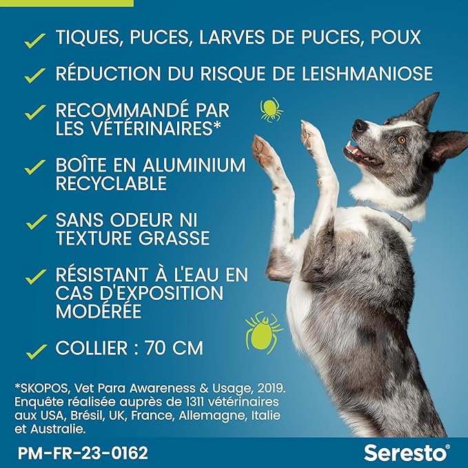 Collier Seresto Anti-puces Pour Chien Maroc