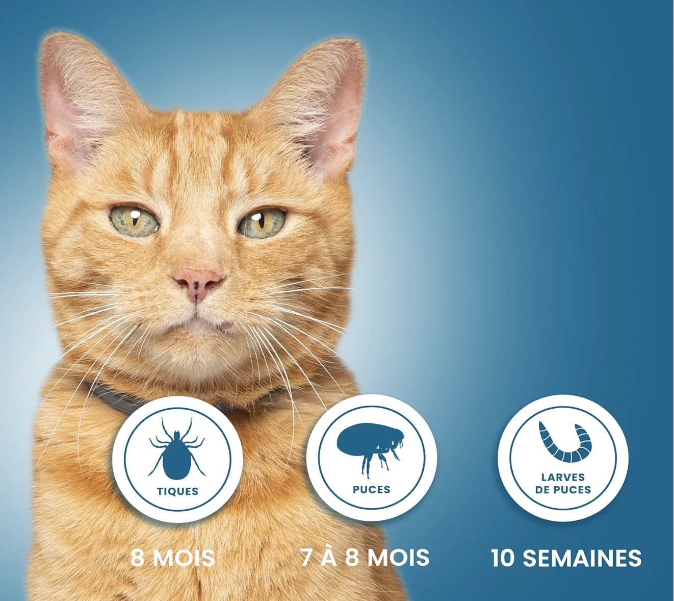 Collier Anti Puces et Tiques Chat