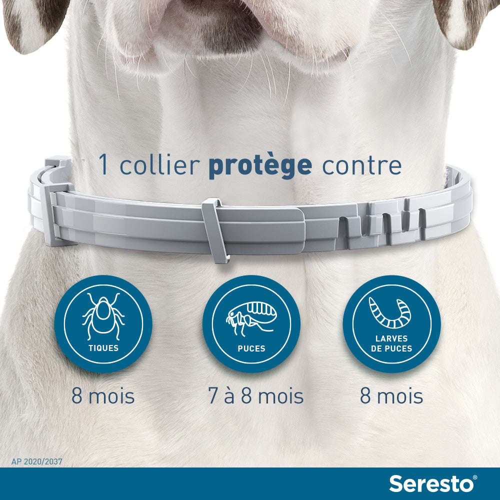 Collier Seresto Anti-puces Pour Chien Maroc
