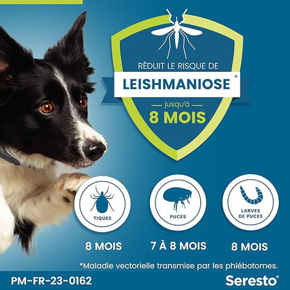 Collier Seresto Anti-puces Pour Chien Maroc