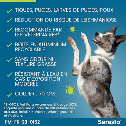 Collier Seresto Anti-puces Pour Chien Maroc