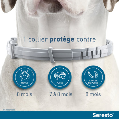 Collier Seresto Anti-puces Pour Chien Maroc